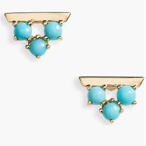 Bony Levy Turquoise Triangle Stud Earrings